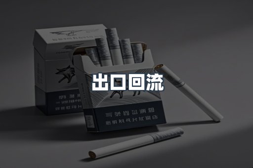 出口回流